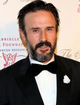 Celebrity Male Hairstyles: David Arquette